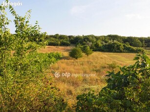 Eladó Telek, Pázmánd