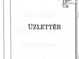 Garzon lakássá alakítható üzlethelyiség a Zaranyi lakótelepen Eladó