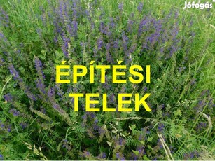 Gyenesdiáson építési telek eladó