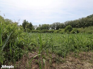 Győr-Górédűlőben 1582 m2-es zártkerti telek