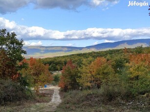 Meseszép erdőszéli panorámás telek