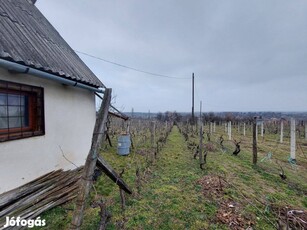 Panorámás, belterületi gyümölcsös présházzal eladó Bölcskén!