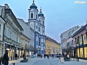 Székesfehérvár, Belváros Szívében,Utcai, Kirakatos , Üzlet Eladó