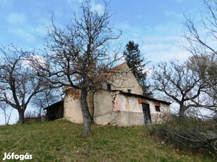 Eladó panorámás présház és pince Pécselyen