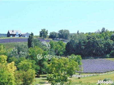 Balatoni panorámás többgenerációs családi ház eladó Kőröshegyen