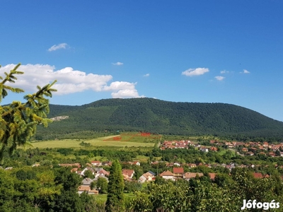 Felsőtárkány külterületén, csodás panorámával Két Telek (össz 3,6 ha)