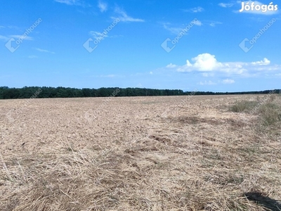 Zalaegerszeg, eladó mezőgazdasági