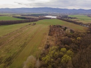 Eladó mezogazdasagi ingatlan Diósjenő