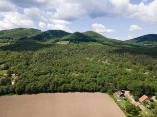 Eladó mezogazdasagi ingatlan Diósjenő