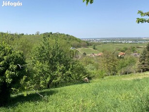 Eladó telek Zalaegerszeg, Bozsokihegy