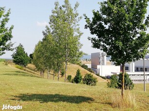 Környe ipari park közepén 17,5 hektáros terület eladó