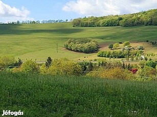 Lulla, Vadvirág utca, 1578 m2-es, telek