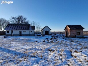 Máriapócs főút mellett többcélú ingatlan eladó (kivett lakóház, udvar)