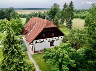 Őrség szívében vadászház eladó