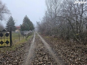 Törökszentmiklós-Szakállas holtágnál telek eladó