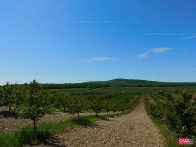 Eladó általános mezőgazdasági ingatlan - Zánka, Veszprém megye