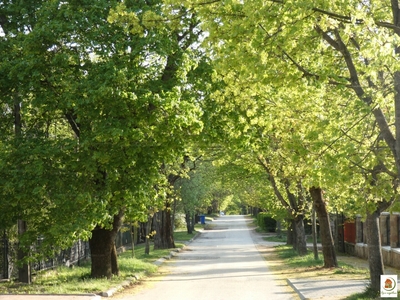 Eladó ikerház - Piliscsaba, Klotildliget