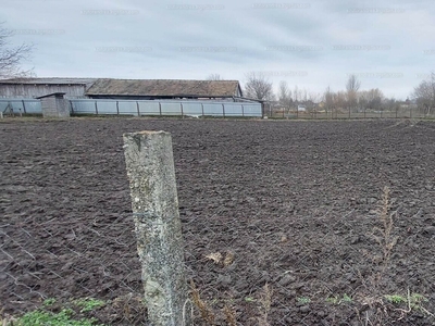 Eladó lakóövezeti telek - Hosszúpályi, Hajdú-Bihar megye