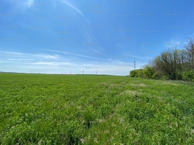 Eladó termőföld, szántó - Bicske, Fejér megye