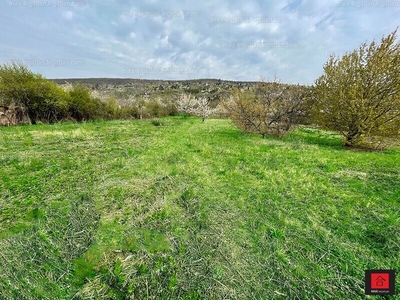 Eladó üdülőövezeti telek - Budaörs, Pest megye