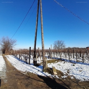 Szekszárd, ingatlan, mezőgazd. ingatlan, 2000 m2, 3.000.000 Ft