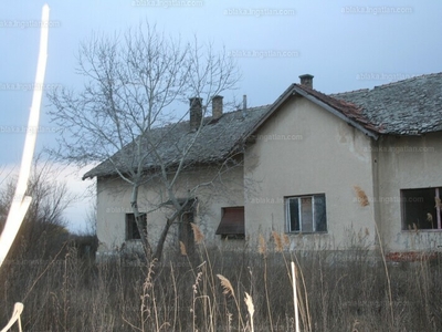 Eladó tanya - Kecskemét, Bács-Kiskun megye