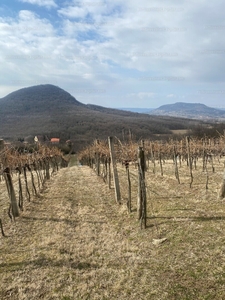 Eladó üdülőövezeti telek - Badacsonytomaj, Külterület