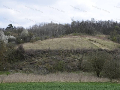 Zalaszentgrót, ingatlan, mezőgazd. ingatlan, 1.450.000 Ft