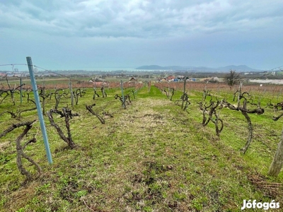 Balatonfüreden Nagyméretű Panorámás szőlő eladó!