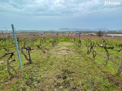 Balatonfüreden Panorámás szőlőterület eladó!