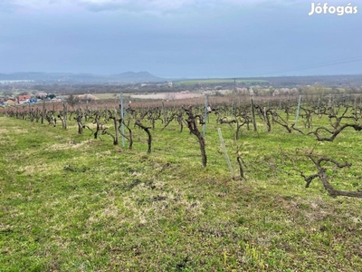 Balatonfüreden szőlőterület eladó!