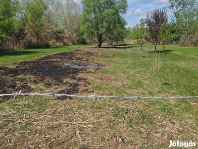 Eladó Nagykörűben 1400m2 telek,100méterre Tiszától