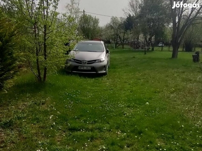 Gyomaendrődi vízparti nyaraló, telek lakható