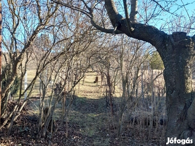 Soproni kiskert panorámával