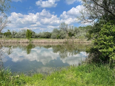 Eladó mezőgazdasági ingatlan - Szolnok