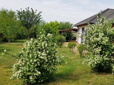 Eladó családi ház Tapolca