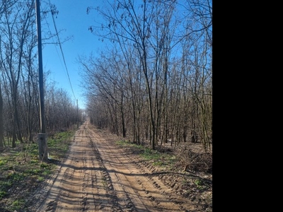 Eladó telek Debrecen, Diószegi út