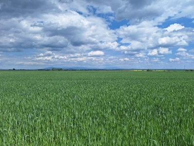 Eladó telek Kartal