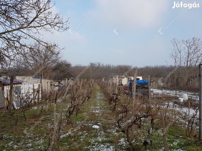 Győr, eladó zárt kert