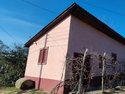 Eladó átlagos állapotú ház - Pilis
