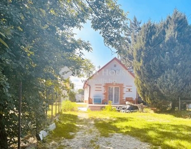 Eladó Ház, Pest megye, Dömsöd - Duna parti családi ház