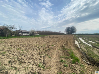 Eladó termőföld, szántó - Lónya