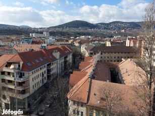 Budai hegyekre néző panellakás a III. kerületben!