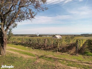 Eladó telek, Zánka - Tagyon - Örök Panoráma - Tiny Home