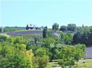 Kőröshegy, ingatlan, ház, 304 m2, 279.000.000 Ft