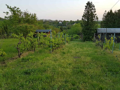 Eladó egyéb telek - Mogyoród, Dombóvári utca