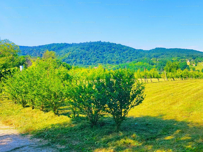 Eladó külterületi telek - Lesencefalu, Hosszúberek