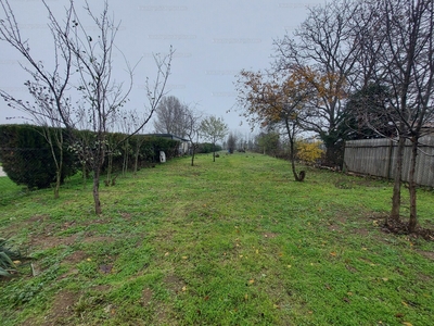 Eladó lakóövezeti telek - Dabas, Dabasiszőlők