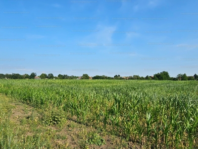 Eladó lakóövezeti telek - Mezőtúr, Jász-Nagykun-Szolnok megye