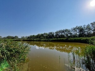 Eladó mezogazdasagi ingatlan Ruzsa